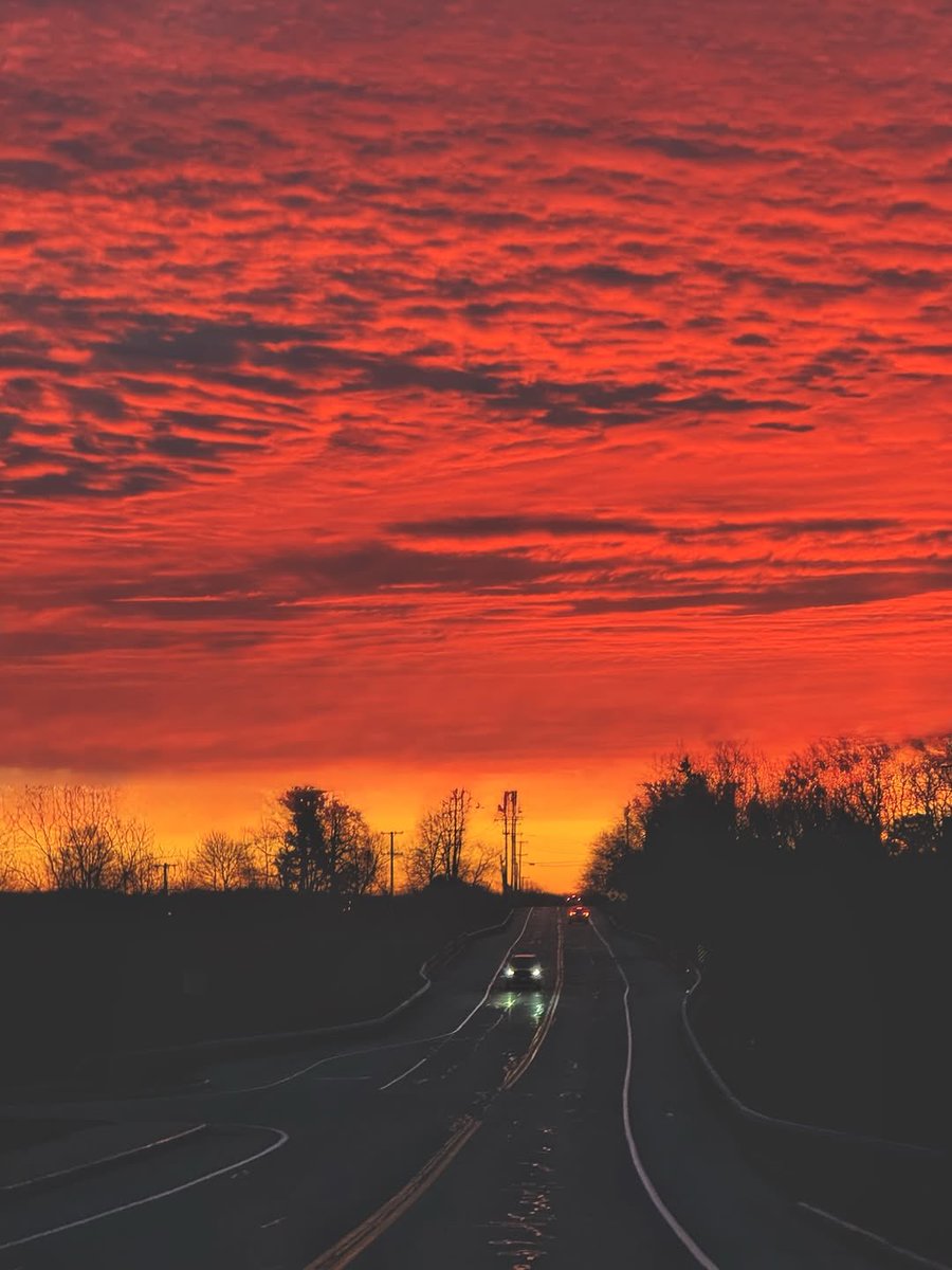 This Is Rochester! tweet media