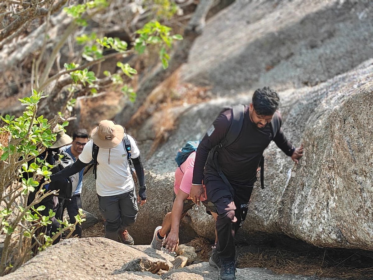 Impelsys tweet media