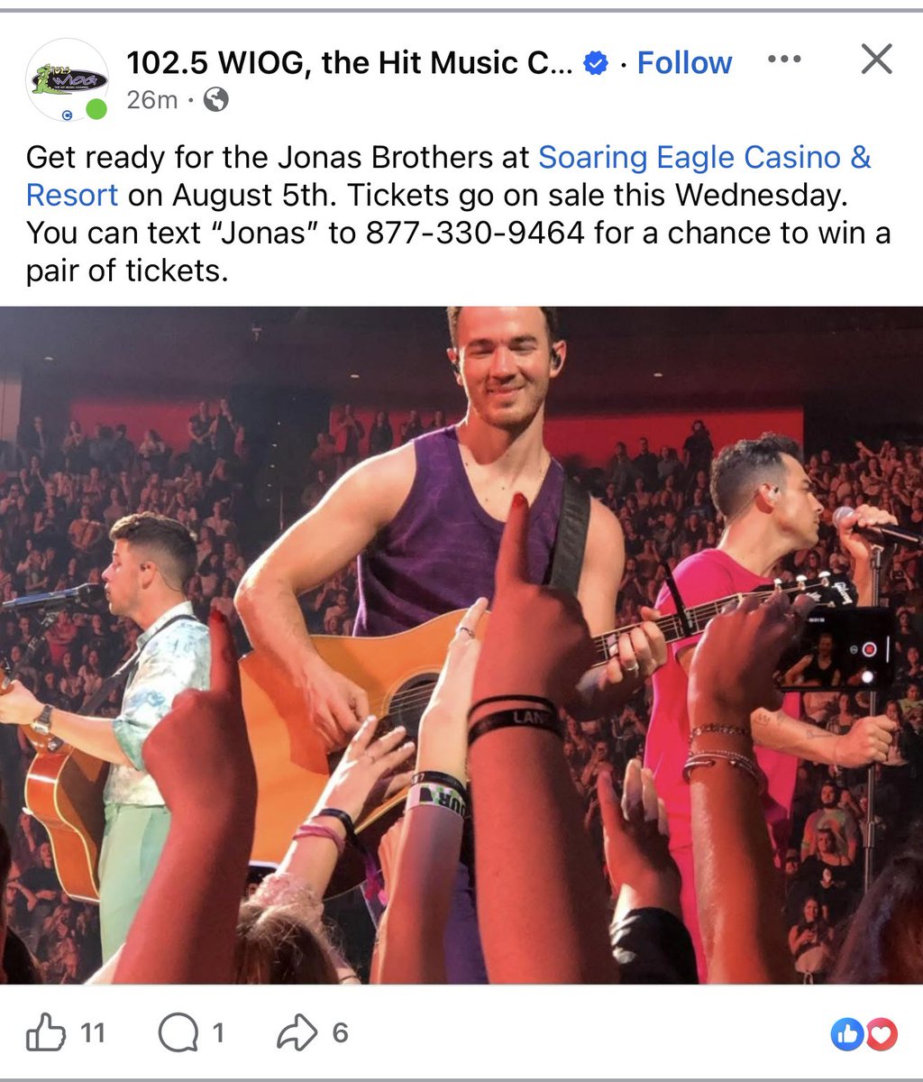 αℓєχ. tweet media