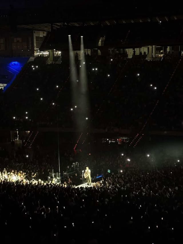 NEWS DANI FDEZ 🐺 tweet media