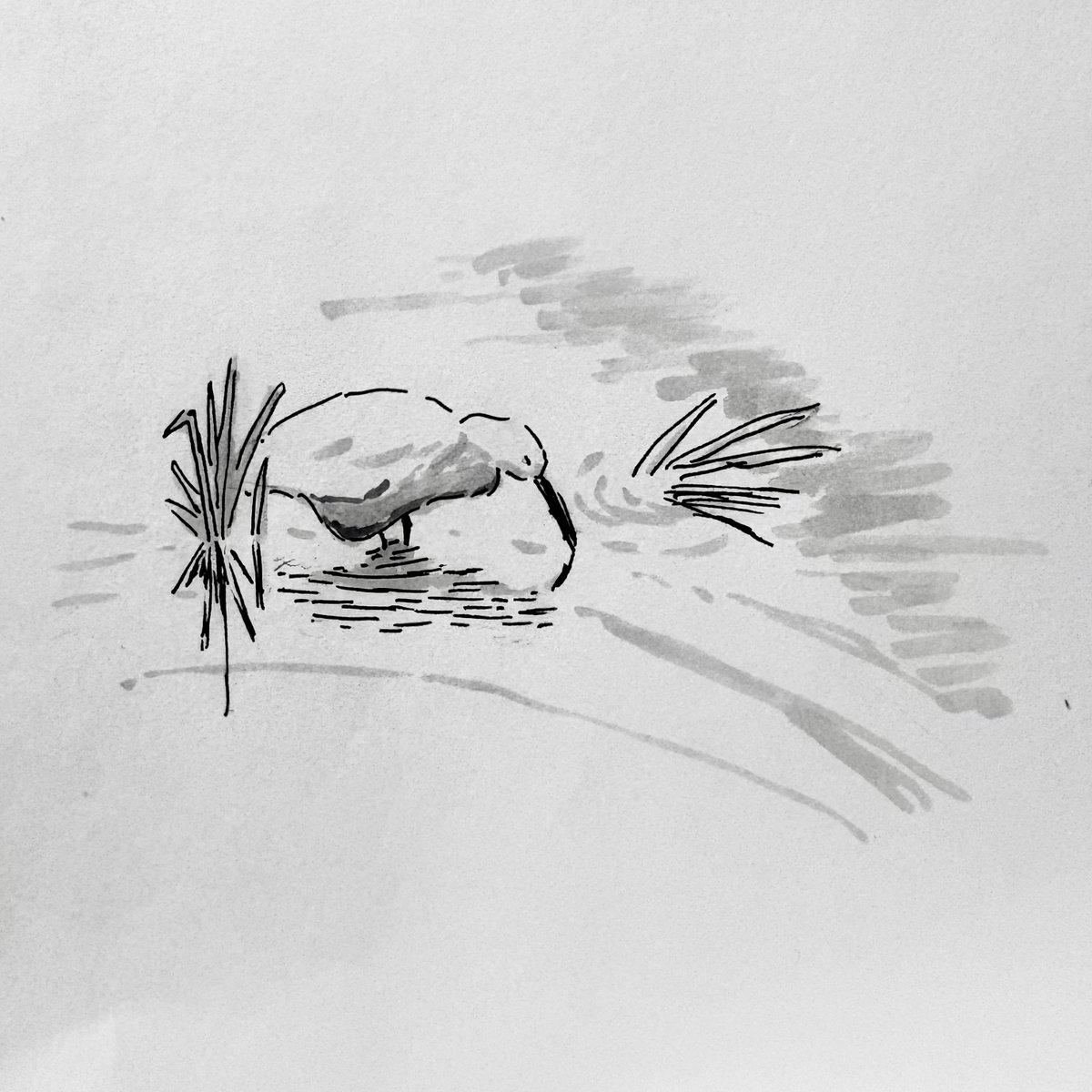 光永これゆき tweet media