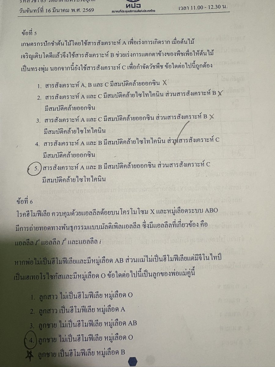 whxtqreis tweet media