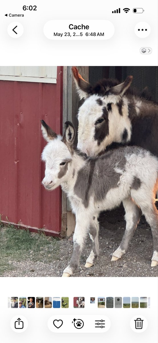 FlybyniteKent's tweet photo. @ClarksonsFarm1 You need more than one😂 https://t.co/YqrqY00aWj