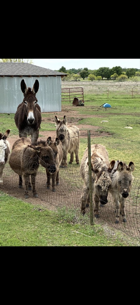 FlybyniteKent's tweet photo. @ClarksonsFarm1 You need more than one😂 https://t.co/YqrqY00aWj