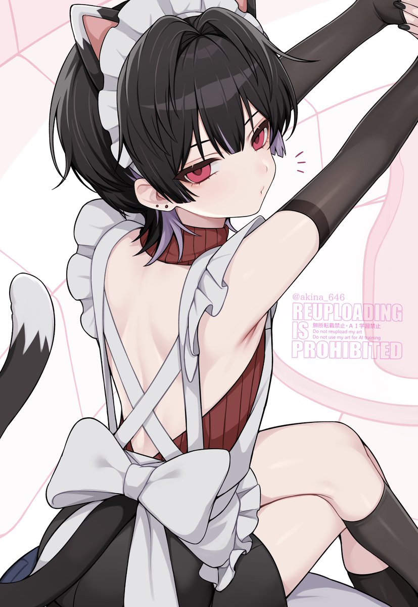 🐈‍⬛ tweet media