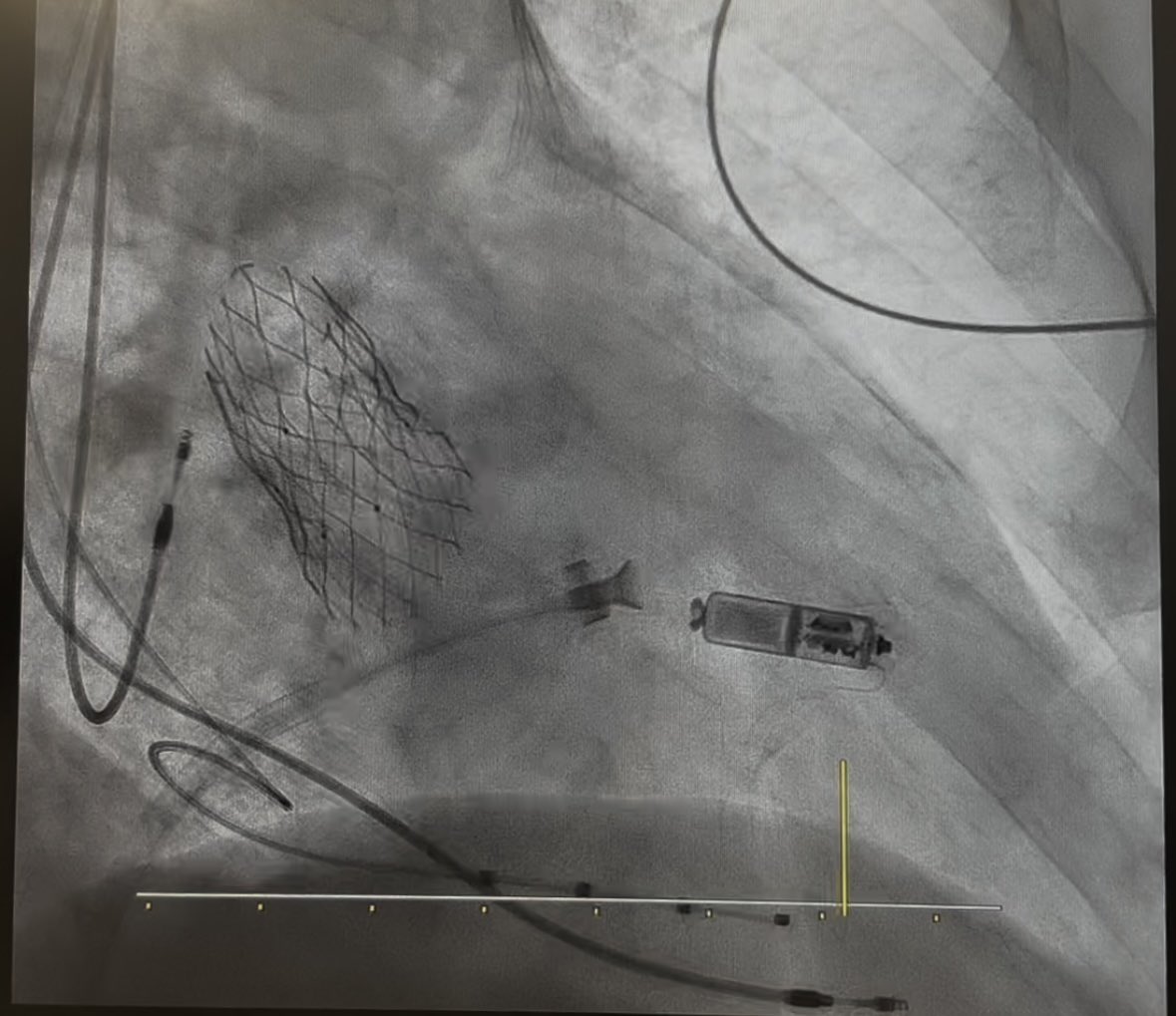 Olga Durán Bobin tweet media