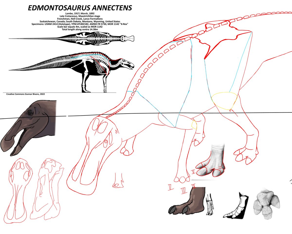 これより線画に取り組む