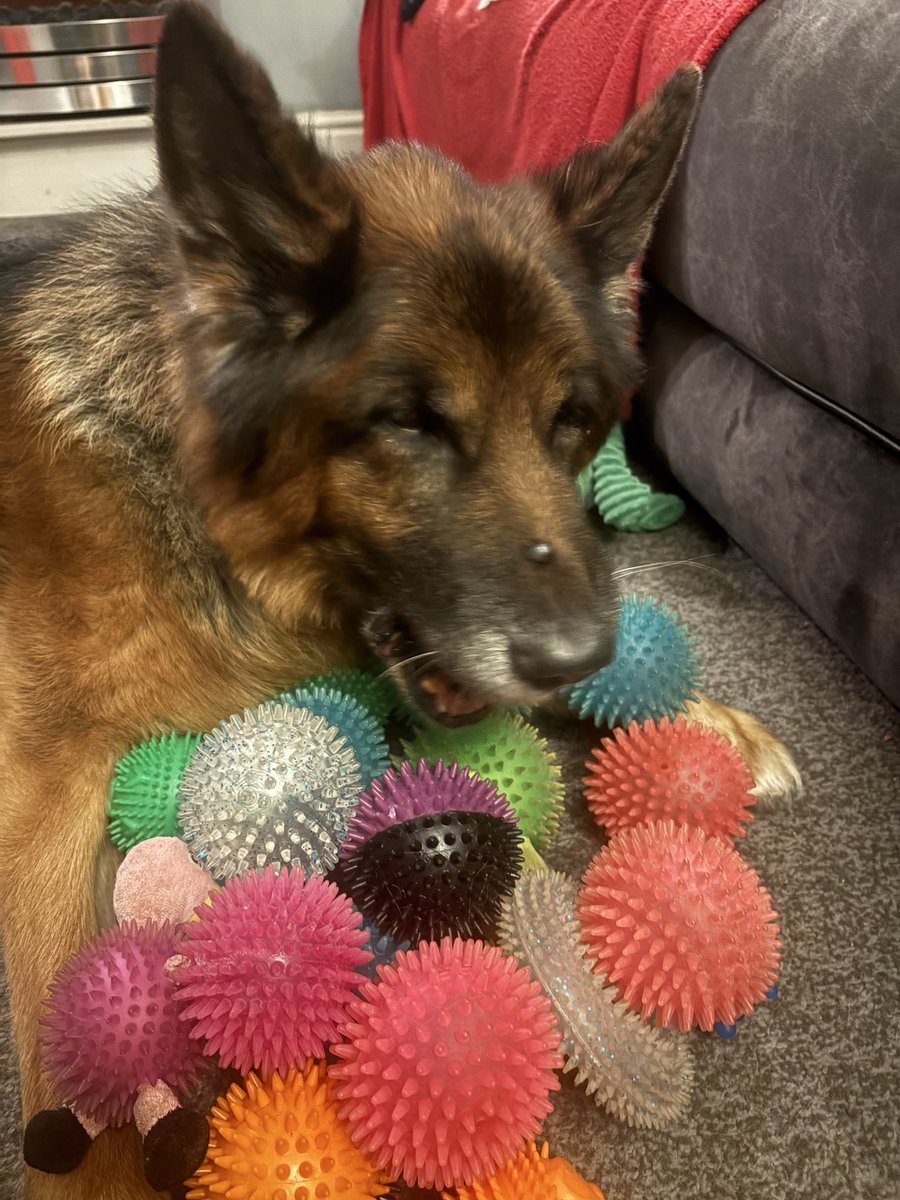 Kellyann Martin tweet media