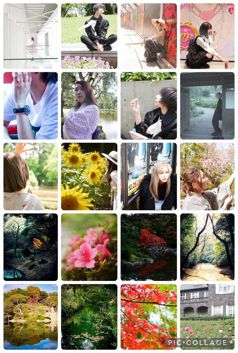 ねろ( ³ω³ )@12TDC📸 tweet media