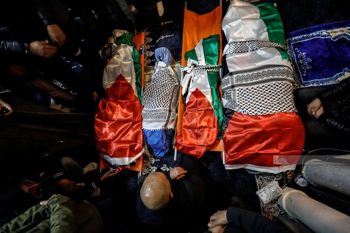 Alejandro Torres tweet media