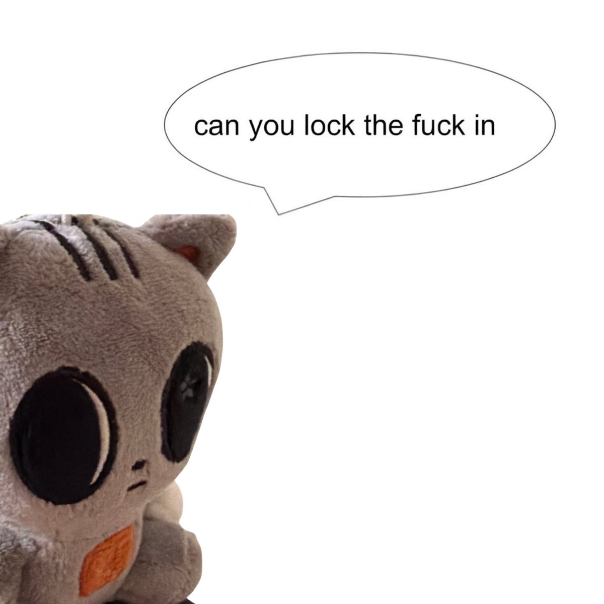 meg 🎧 tweet media