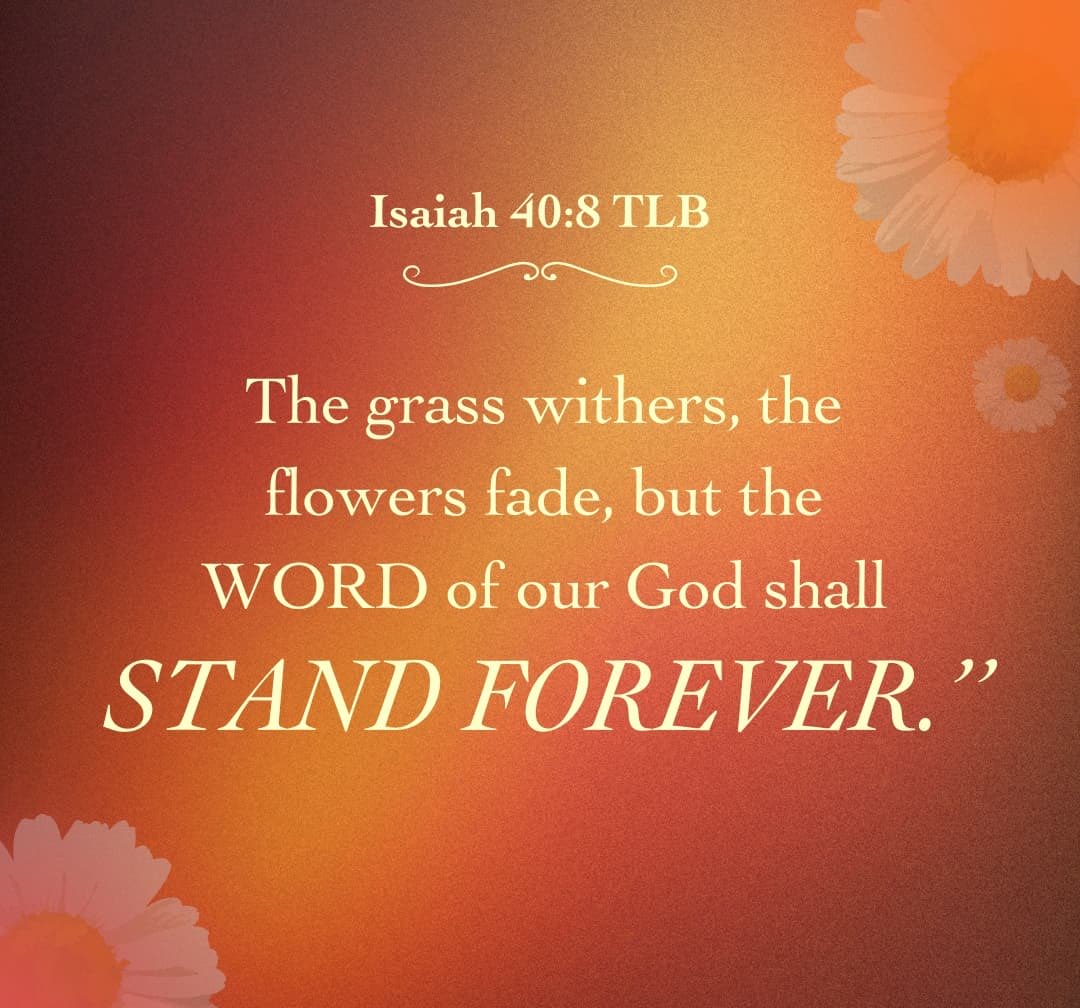 Susan Borg tweet media