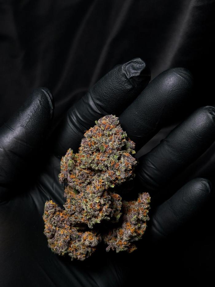 grow.diaries tweet media