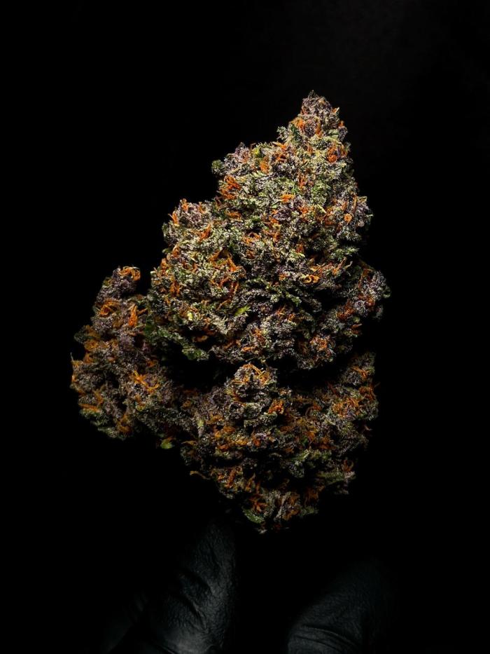 grow.diaries tweet media