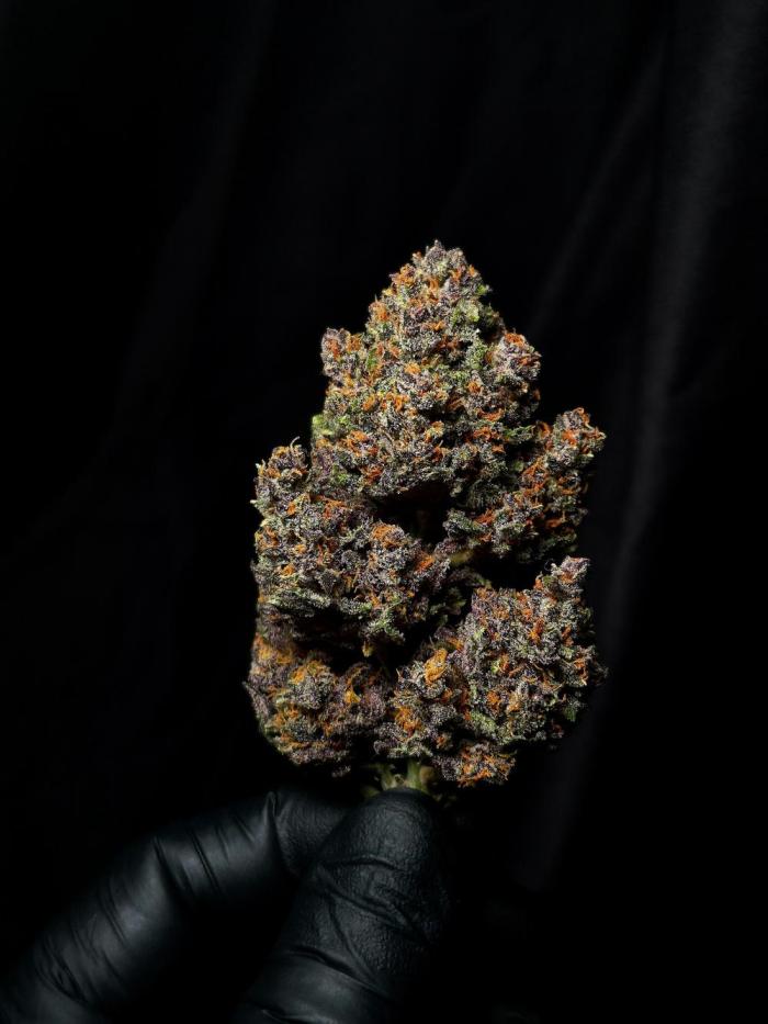 grow.diaries tweet media