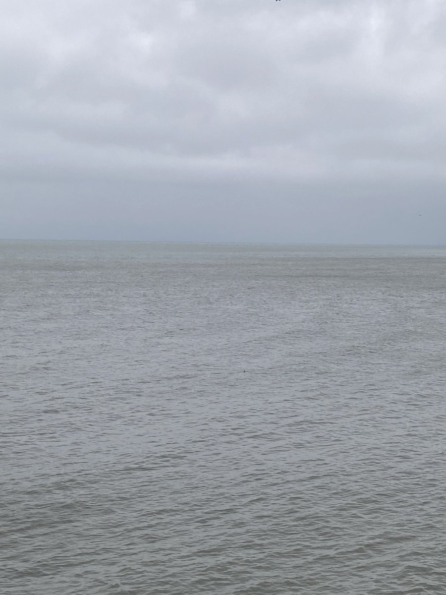 Mark Munch Bishop tweet media