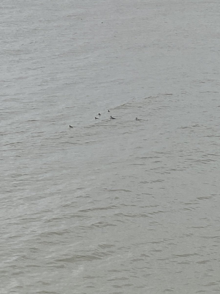 Mark Munch Bishop tweet media