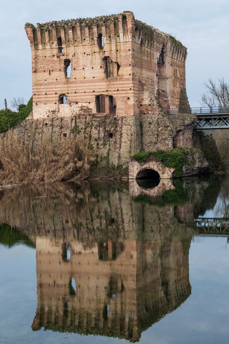 robisanni tweet media