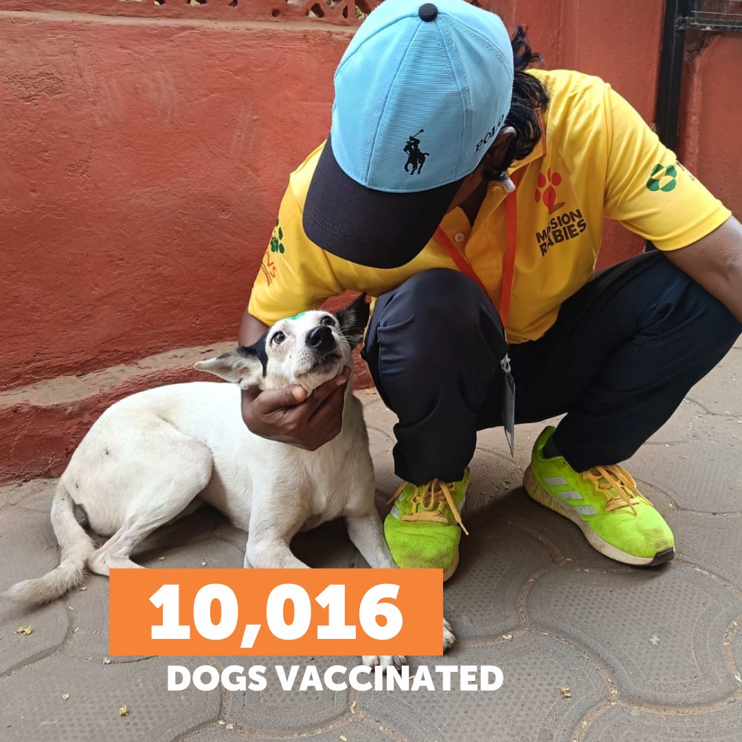 Mission Rabies tweet media