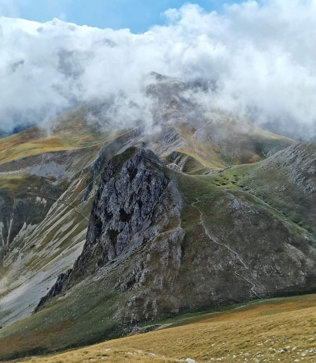 Magnifica Lounge 🫐 tweet media