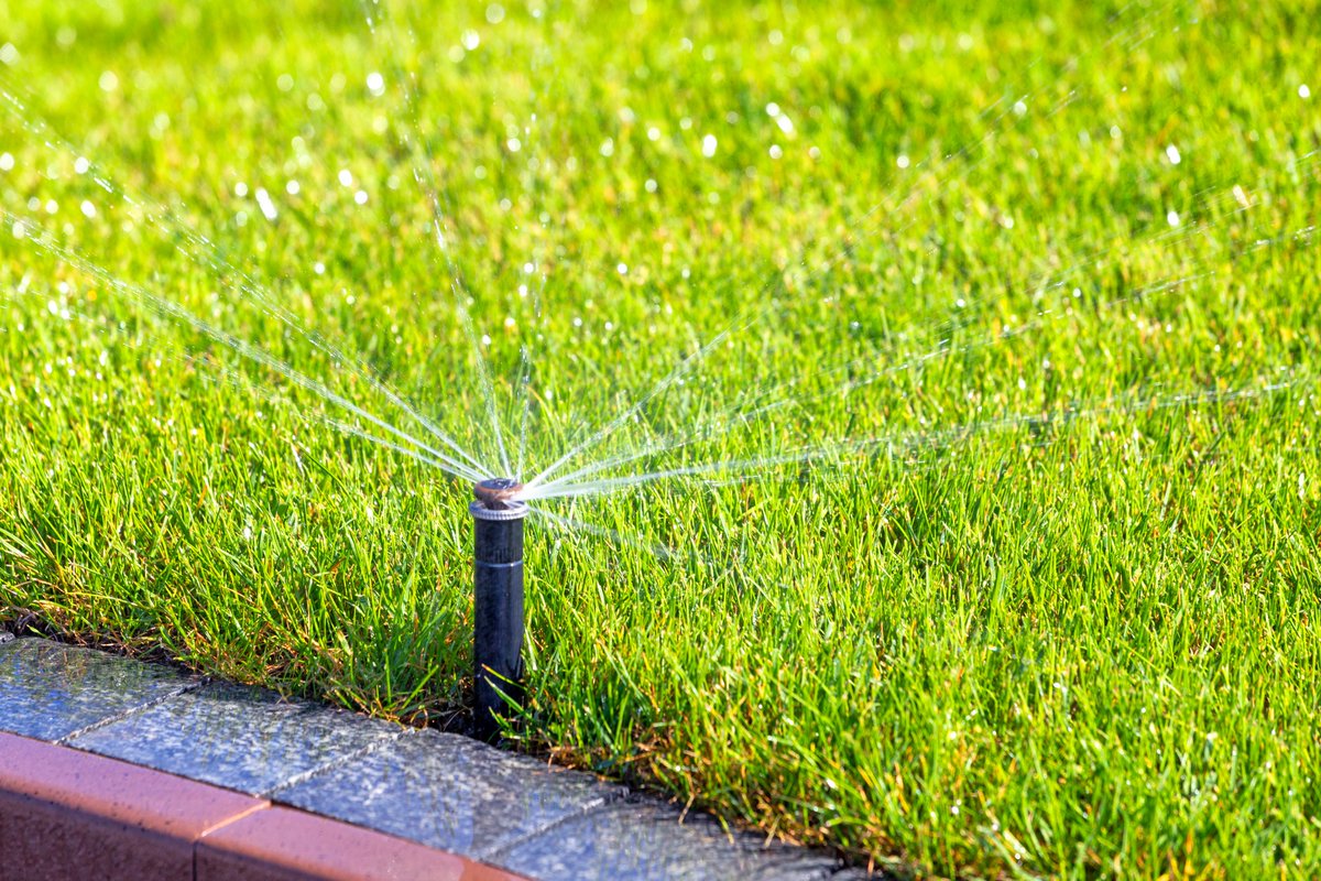 BelirrigationMA's tweet image. belmontirrigationservice.com/what-homeowner…

Modern sprinkler systems are smarter and more efficient than many homeowners expect.

We break down smart controllers, system design, and backflow protection in our latest article.

#LawnIrrigation #SprinklerSystem #SmartIrrigation #LawnCare