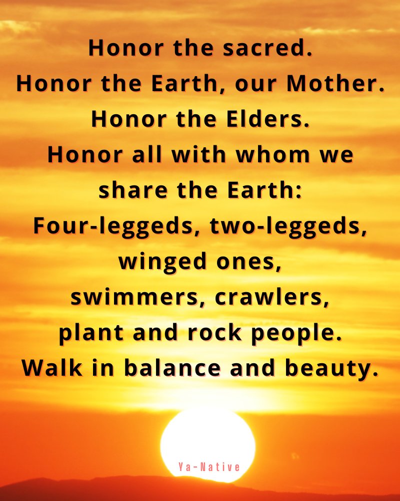 YaNative's tweet image. #YaNative