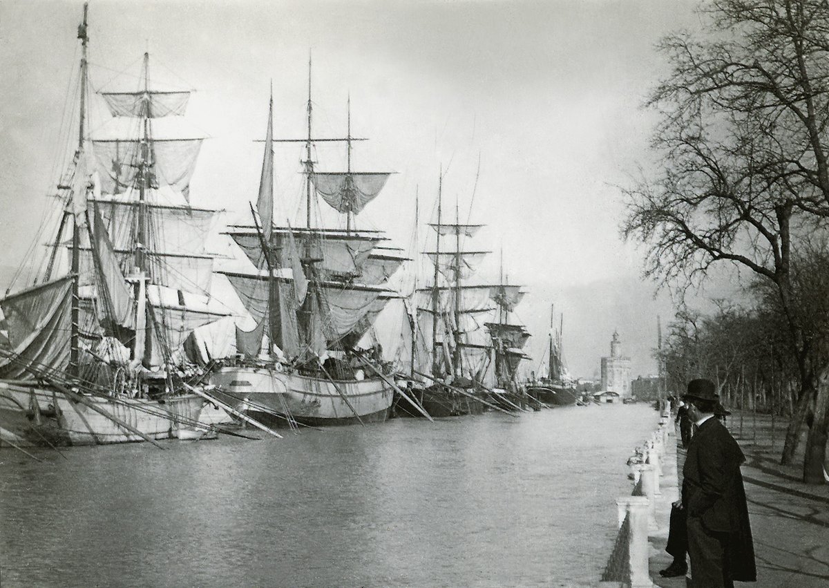 Sevilla Marítima y Fluvial tweet media