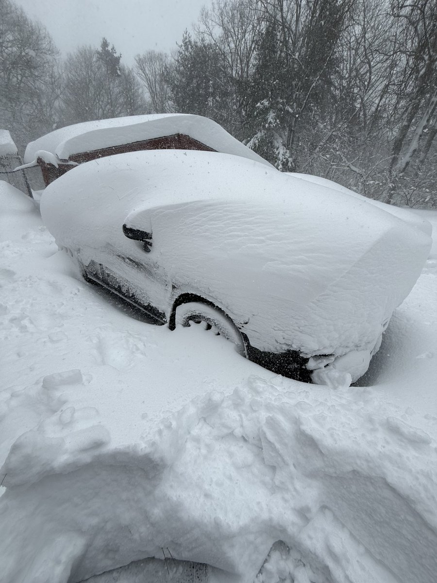 Dawn Casey-Rowe tweet media