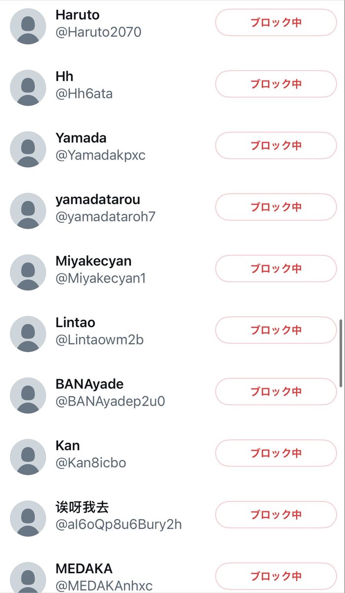 ロシア在住です（松本陽子） tweet media