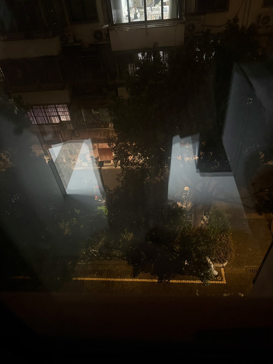 幸运鹅🦢 tweet media