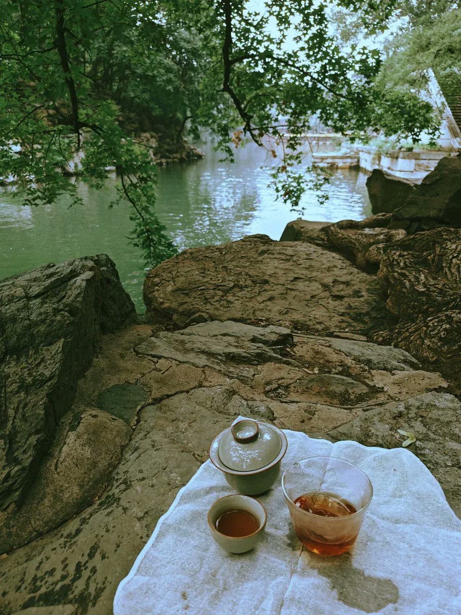 Ilua Vongarovsky tweet media