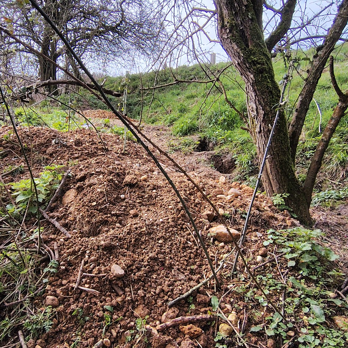 Mark Garrett tweet media