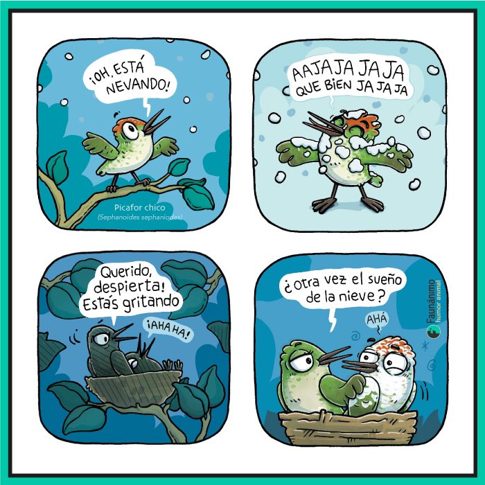 Faunanimo tweet media