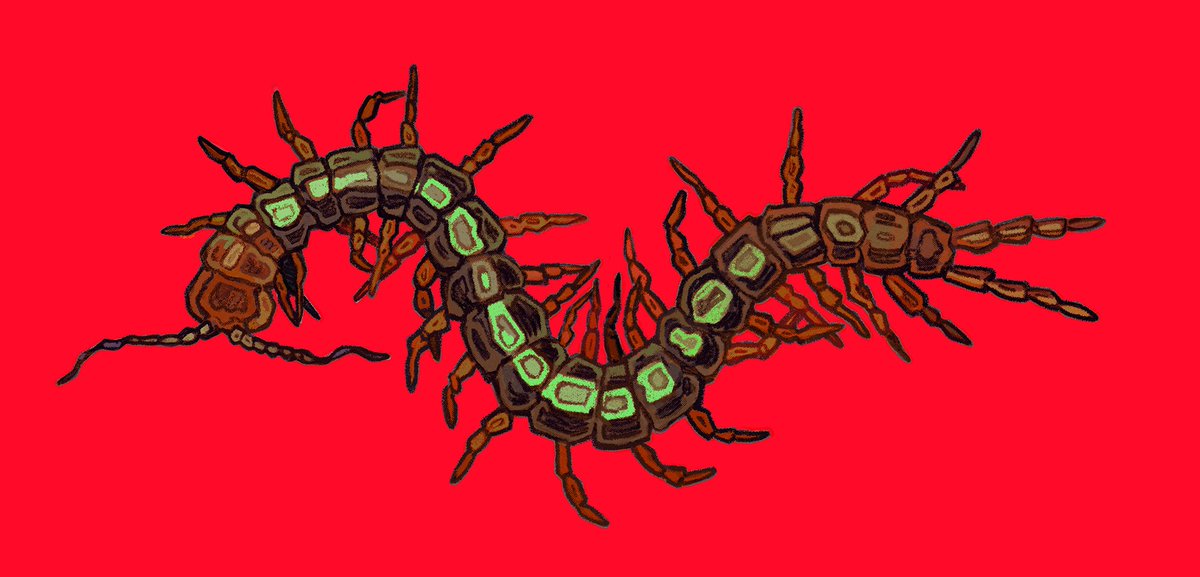 Jagal 💙💛 tweet media