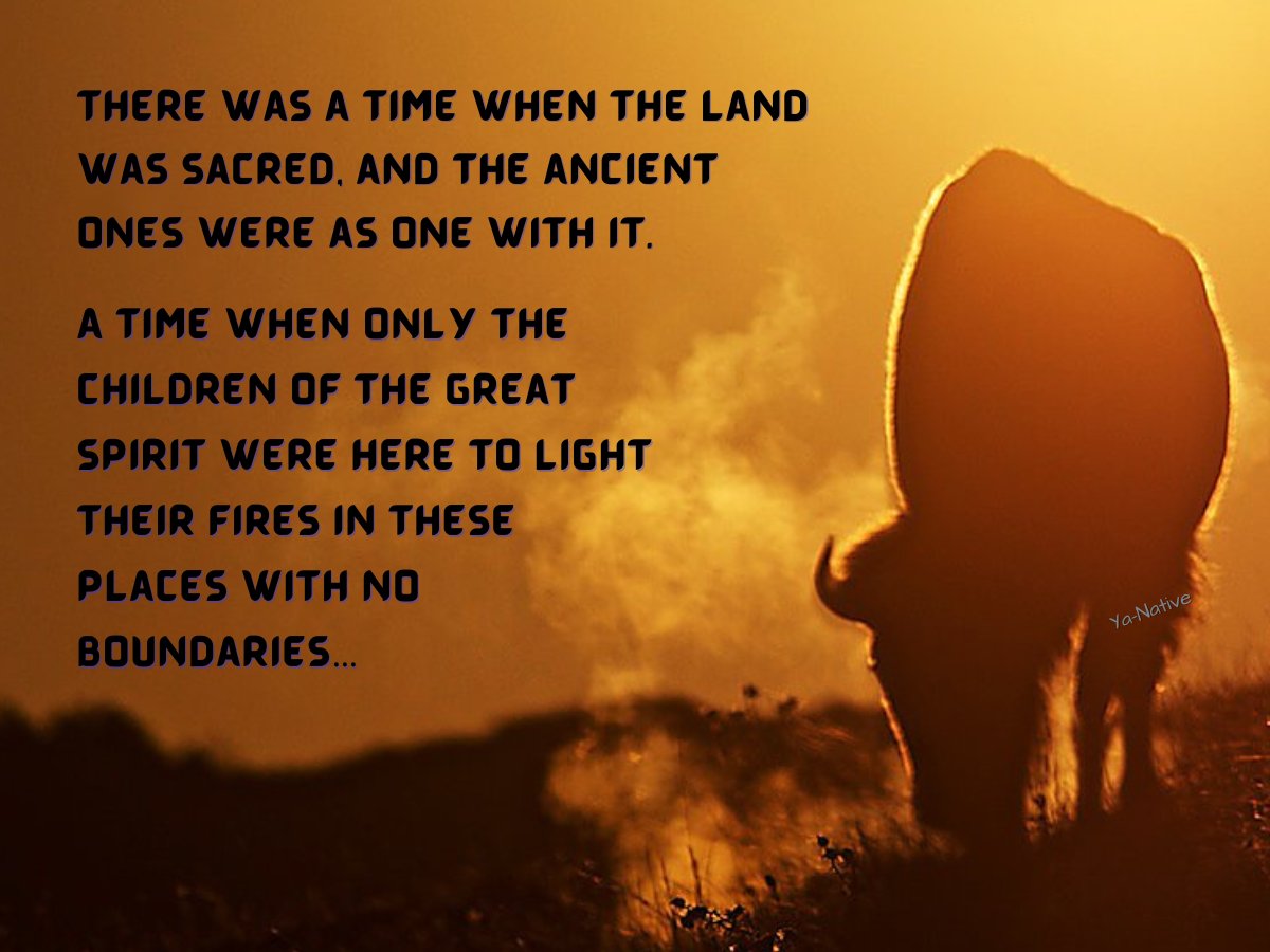 Ya-Native tweet media