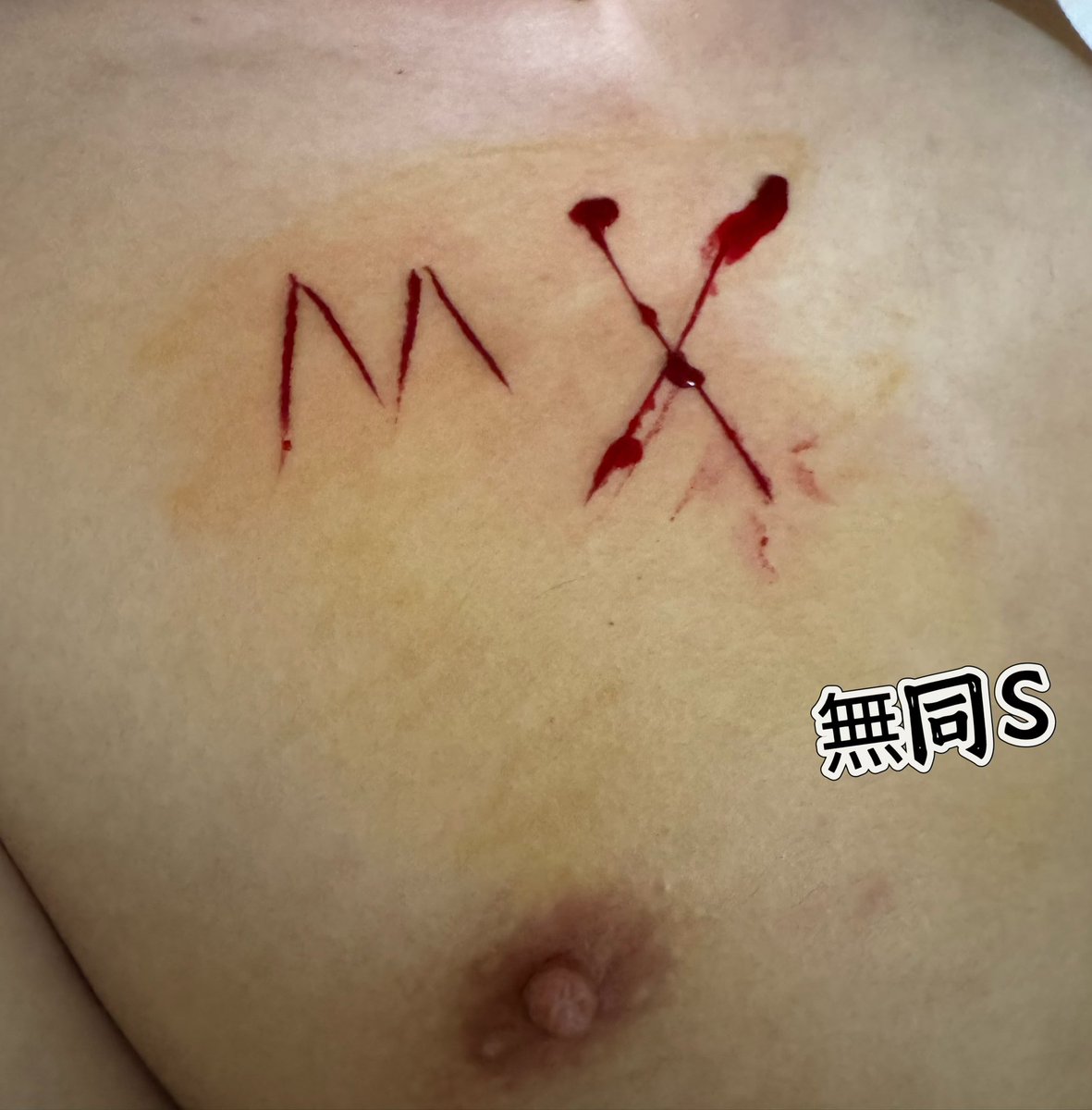 無同S tweet media