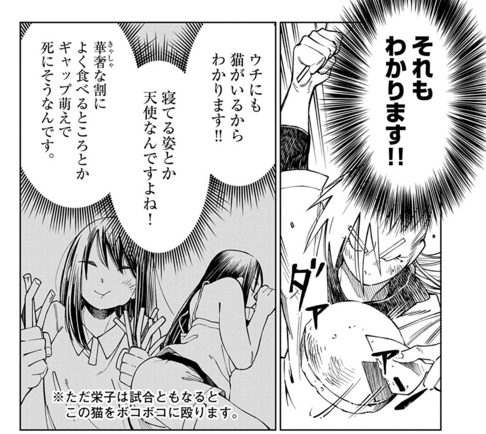 スウィートヒート！【公式】@第2巻発売中！ tweet media