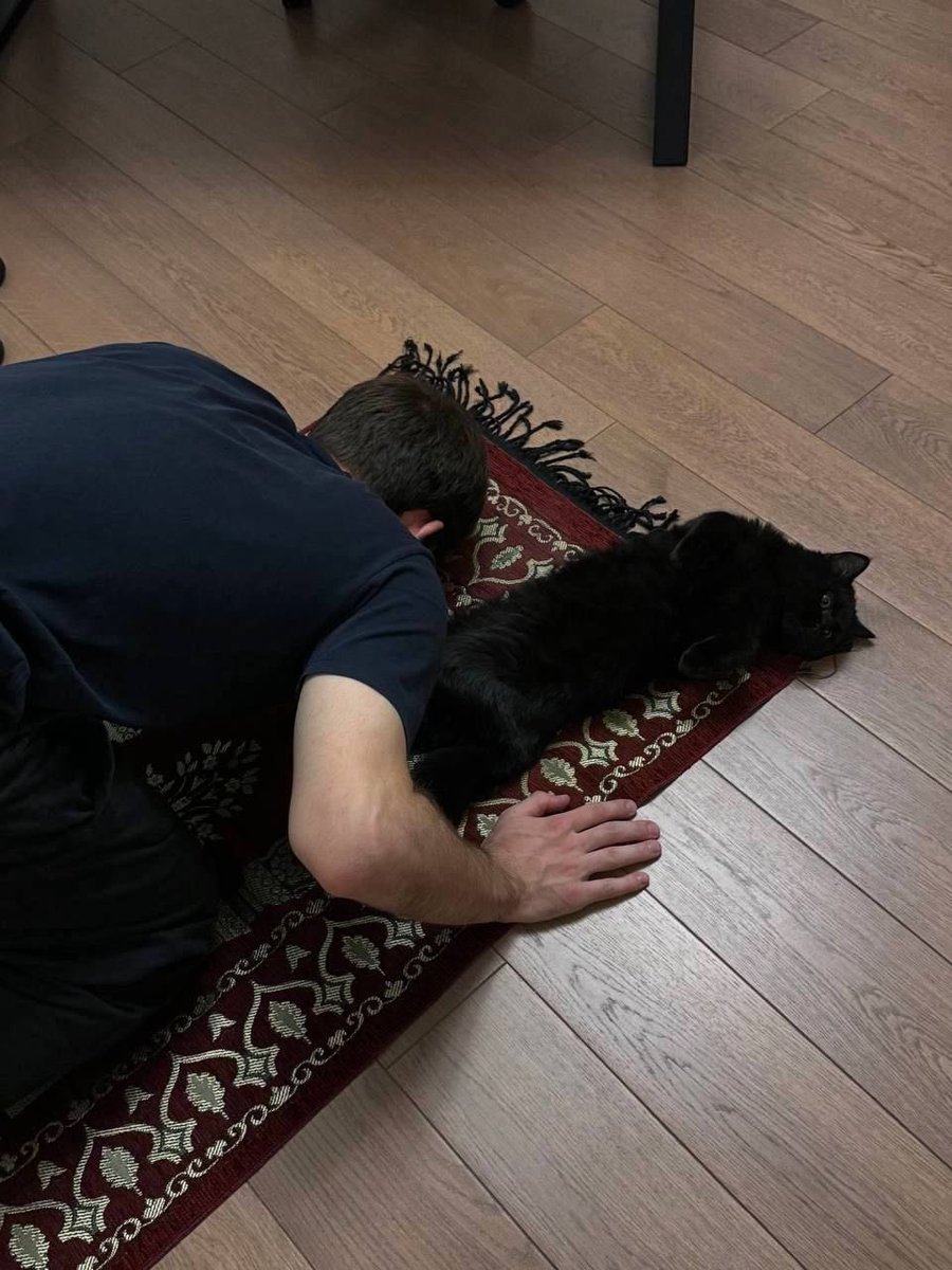 𓆸 figürsel tweet media