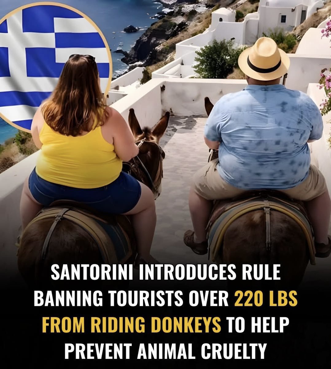 PROTECT ALL WILDLIFE tweet media