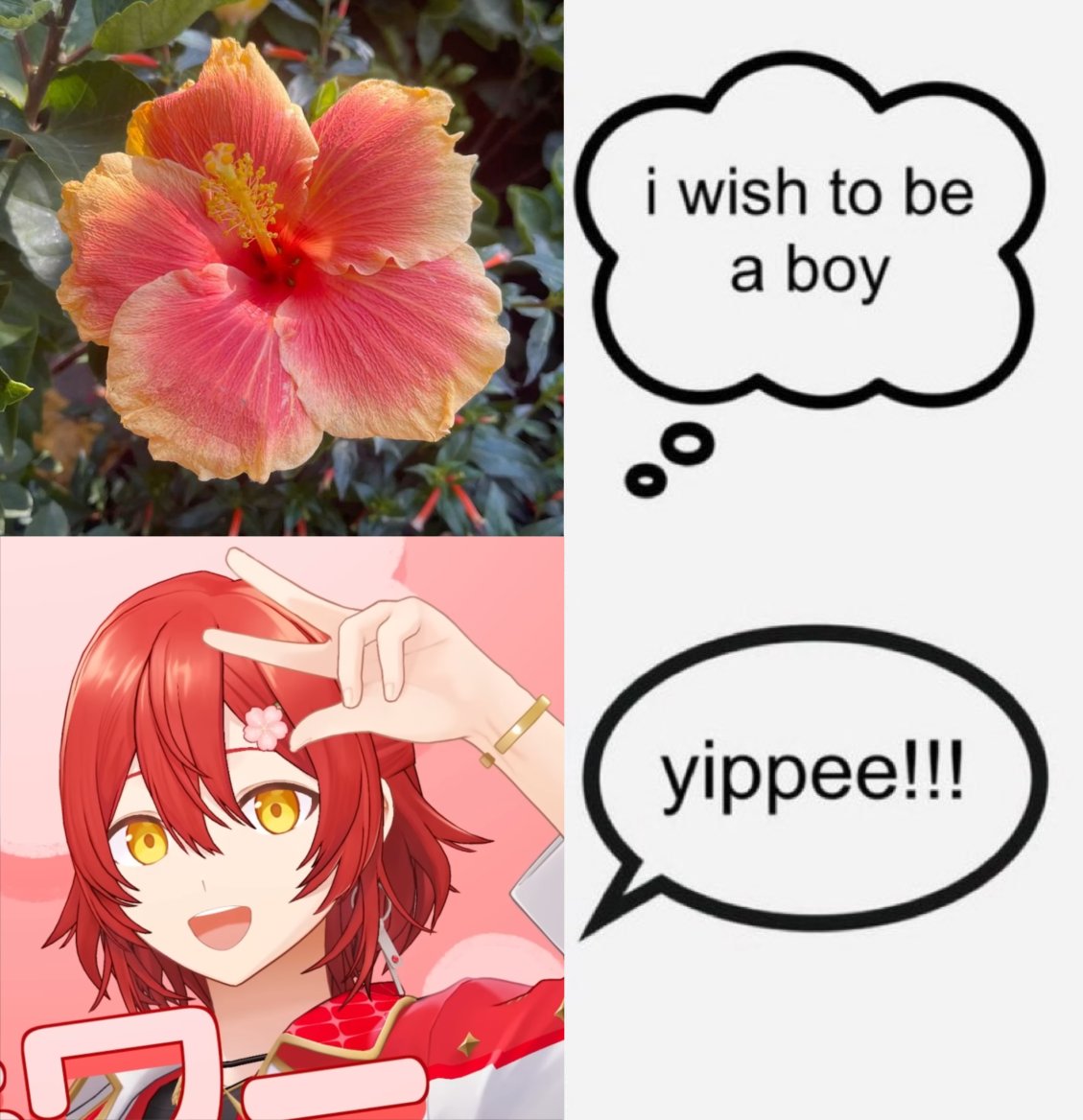 ずふぃだ💮🌟 tweet media