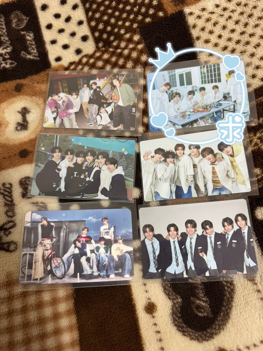 こぐま tweet media