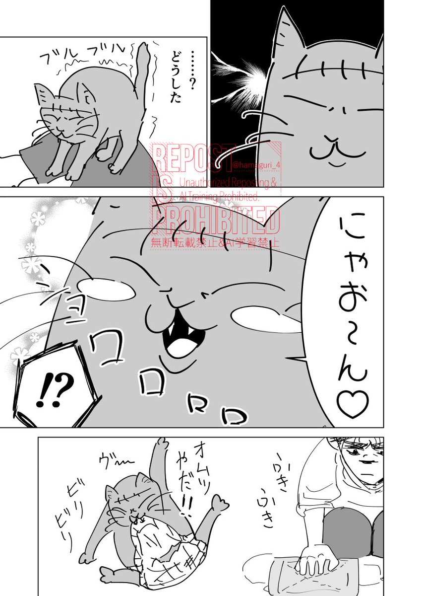 はまぐり🦀 tweet media