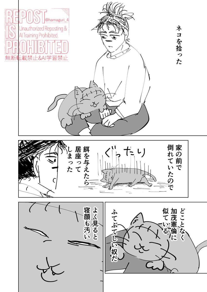 はまぐり🦀 tweet media