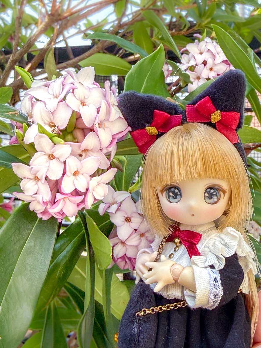 オレンジペコ tweet media