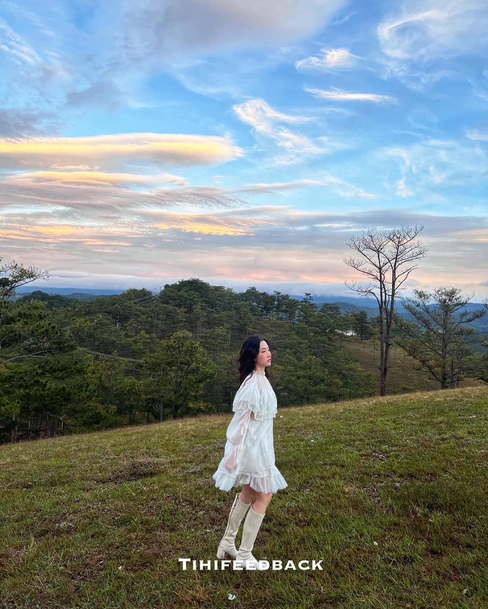 Thomas M tweet media