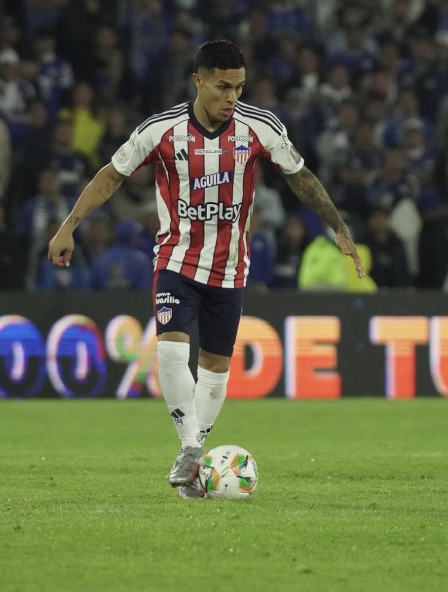 Pasión Tiburona tweet media