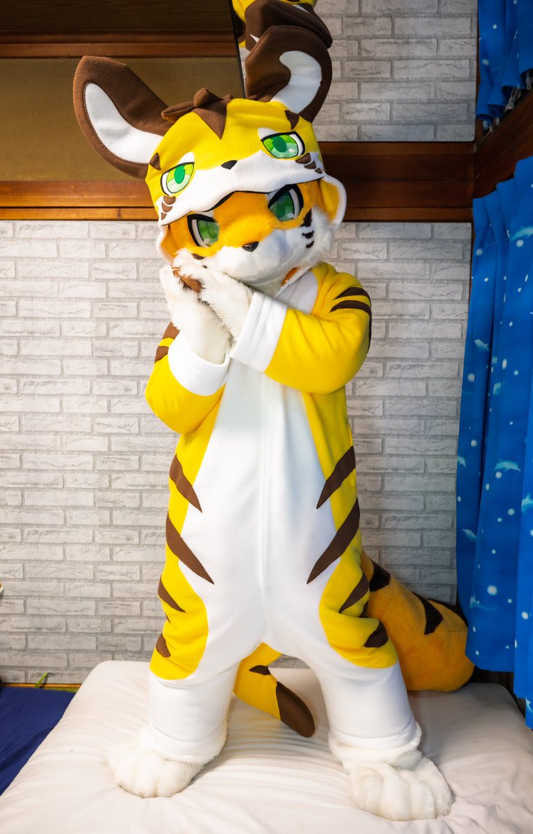 ヒンリ🐯 tweet media