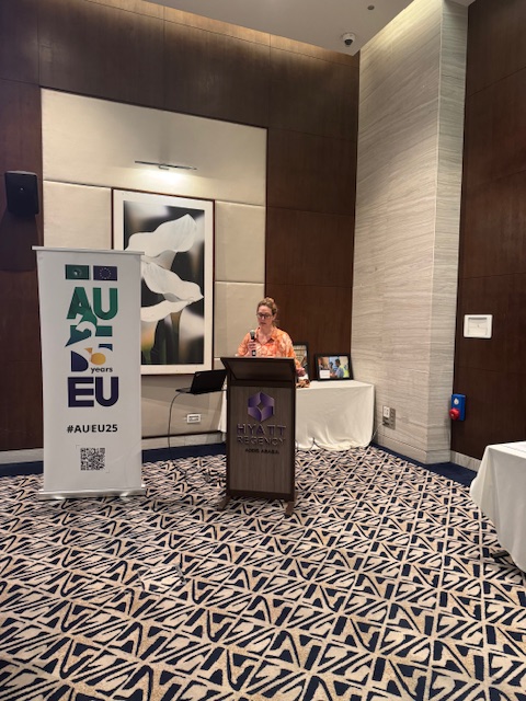 EU Delegation to AU tweet media