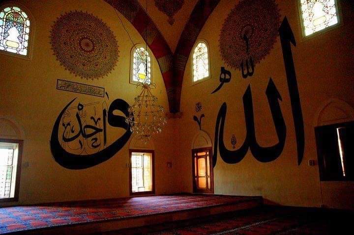 lisanı Hâl tweet media