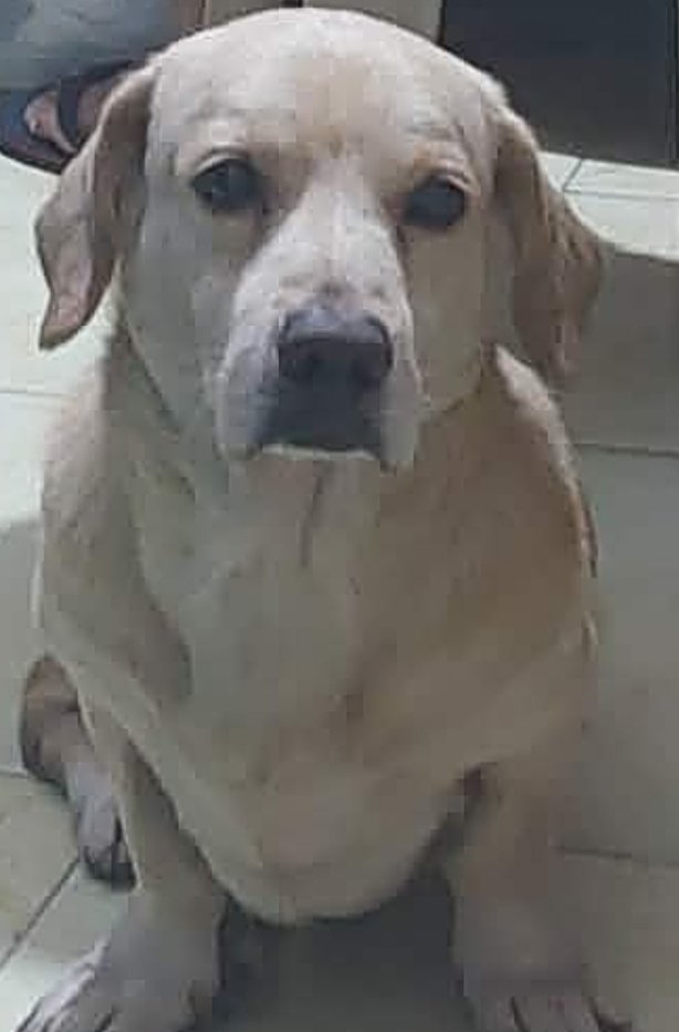 YR💃🎗️🌸 tweet media